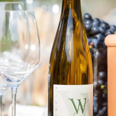 בית הארחה Gaestehaus Wildpert