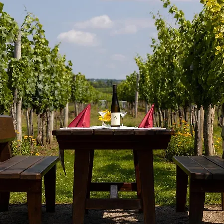 בית הארחה Gaestehaus Wildpert Engabrunn