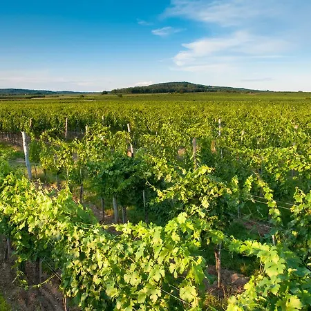 Gaestehaus Wildpert Engabrunn