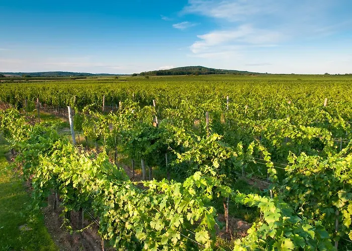 Gaestehaus Wildpert Engabrunn