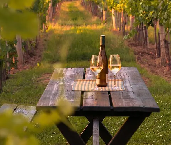 Gaestehaus Wildpert Engabrunn