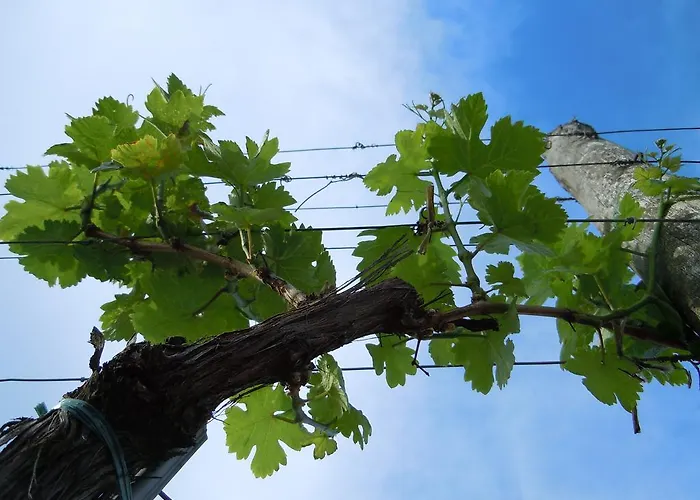 Gaestehaus Wildpert Pensionat 3*